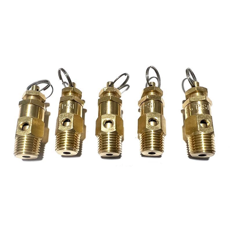 1/4 3/8 ASME Safety Relief Valves Control Devices psi 25