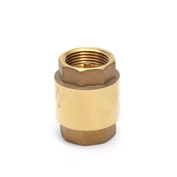 Pvc Spindle Threaded Brass 2 Two Way High Pressure Vertical Spring Water Sanitary Check Valve 1/2-4 Inch