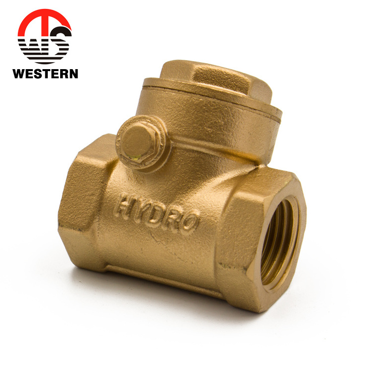 China manufacturer price ISO228 Standard Dn80 Bronze sanitary Brass Horizontal non-return Swing Check Valve 1