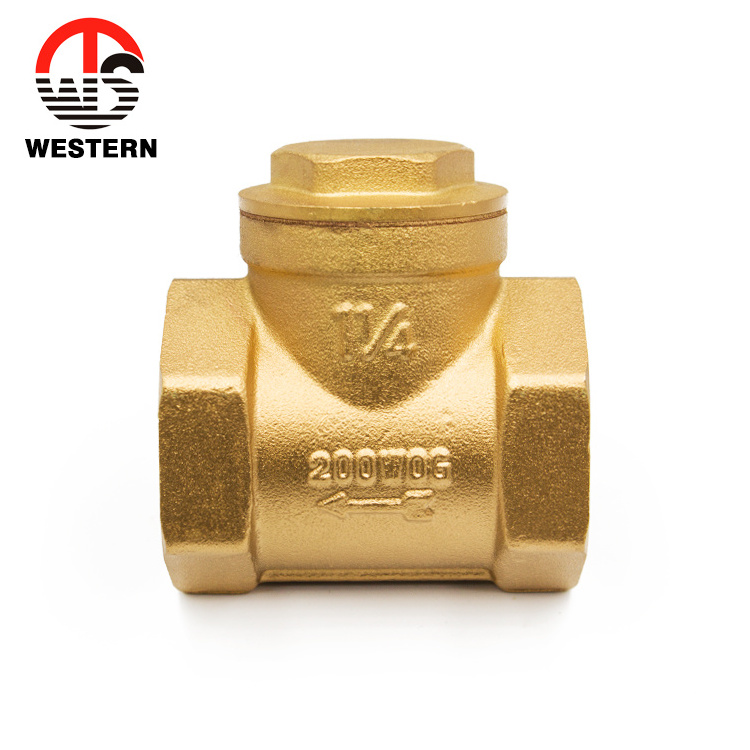 China manufacturer price ISO228 Standard Dn80 Bronze sanitary Brass Horizontal non-return Swing Check Valve 1