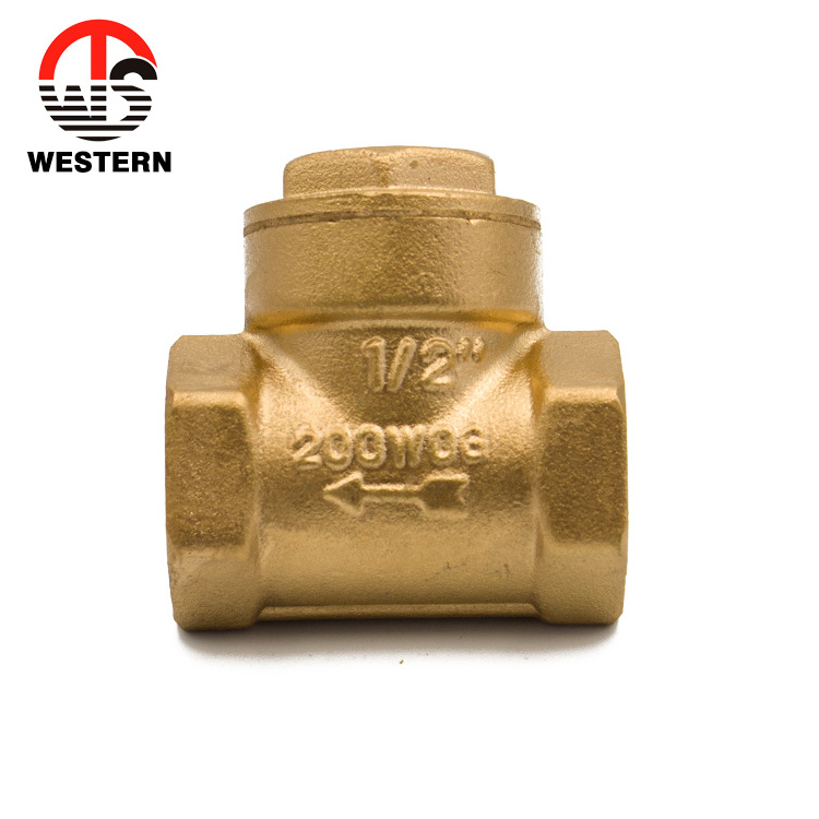 China manufacturer price ISO228 Standard Dn80 Bronze sanitary Brass Horizontal non-return Swing Check Valve 1