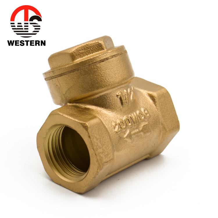 China manufacturer price ISO228 Standard Dn80 Bronze sanitary Brass Horizontal non-return Swing Check Valve 1