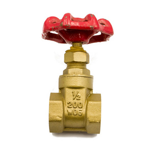 BSP NPT thread 1/2" 4 inch brass gate valve 25mm szie: 1/2 in  pn16 dn100