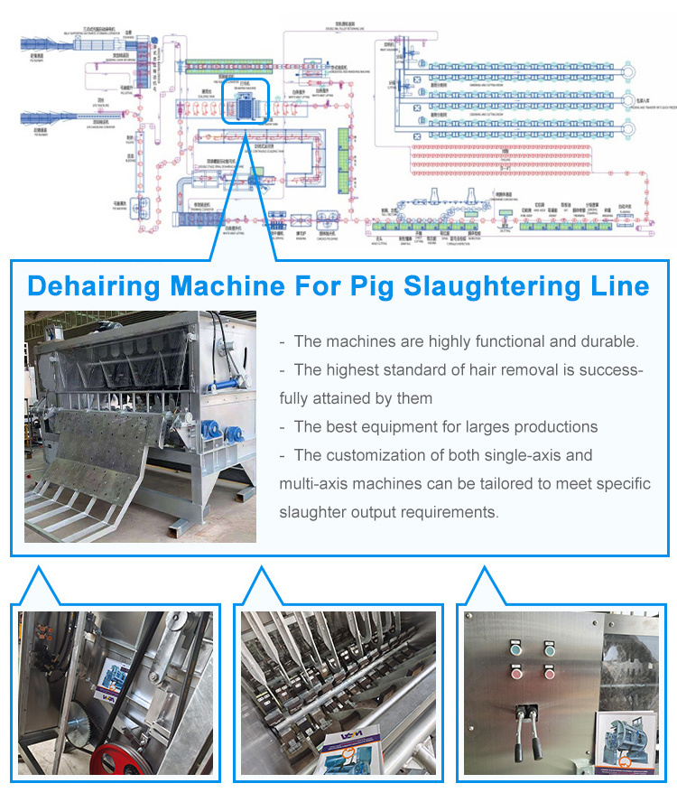 Abattoir Equipment Pig Dehairer And Scalding Machine For Swine Pig Slaughtering Plant