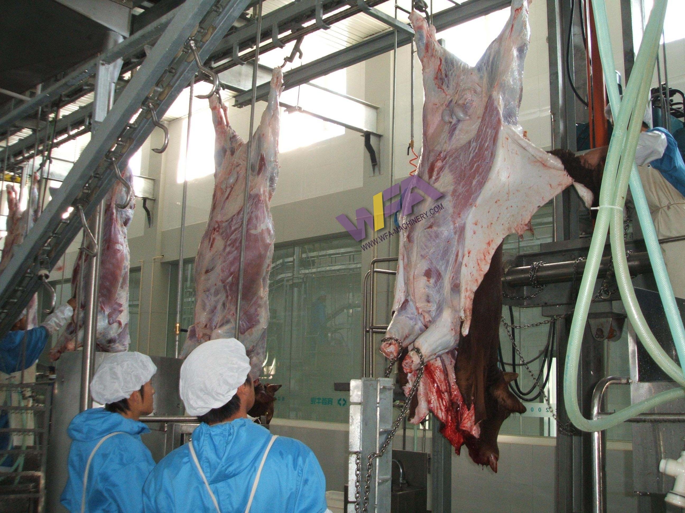 Automatic Cattle Slaughtering Halal Slaughter Machine Cow Processing Machine For Abattoir Equipment Slaughterhouse