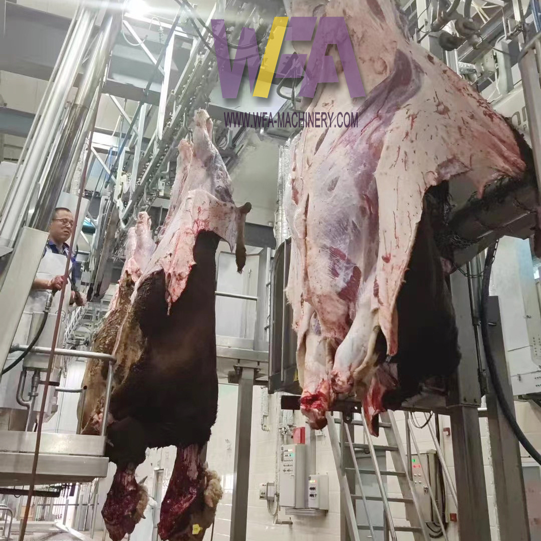 Complete Slaughterhouse Turnkey Cattle Slaughter House 10 Cattle Hour Halal Meat Processing Beef Slaughter Processing Line