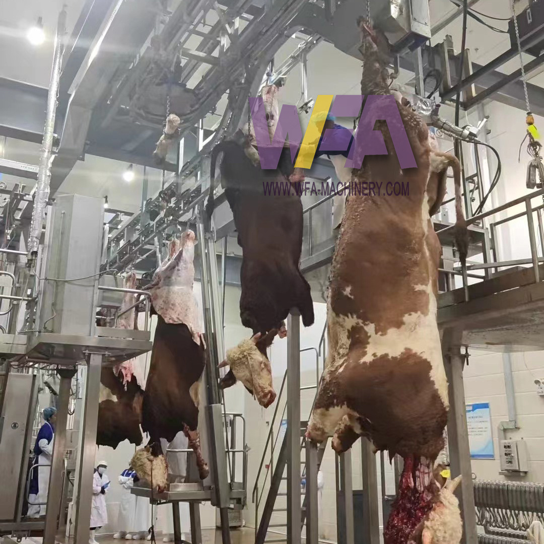 Complete Slaughterhouse Turnkey Cattle Slaughter House 10 Cattle Hour Halal Meat Processing Beef Slaughter Processing Line