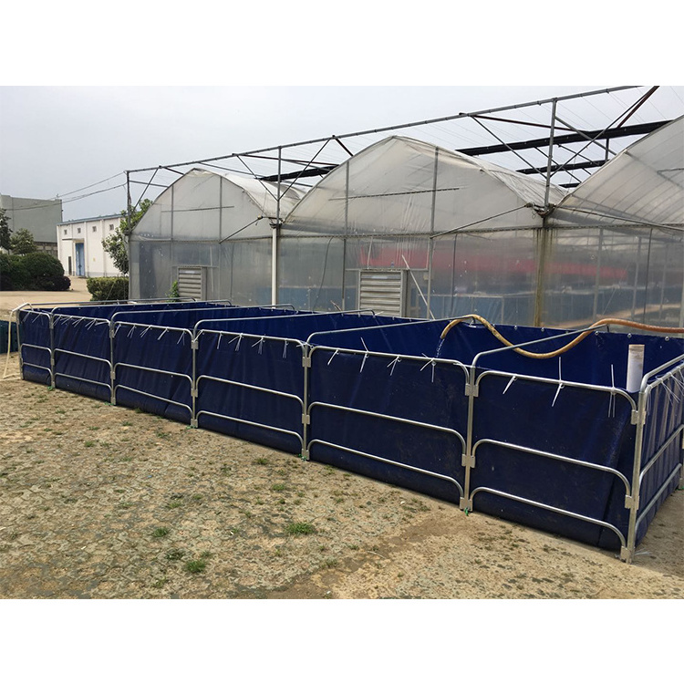 Custom hot selling commercial portable plastic tarpaulin live fish haul transport tanks