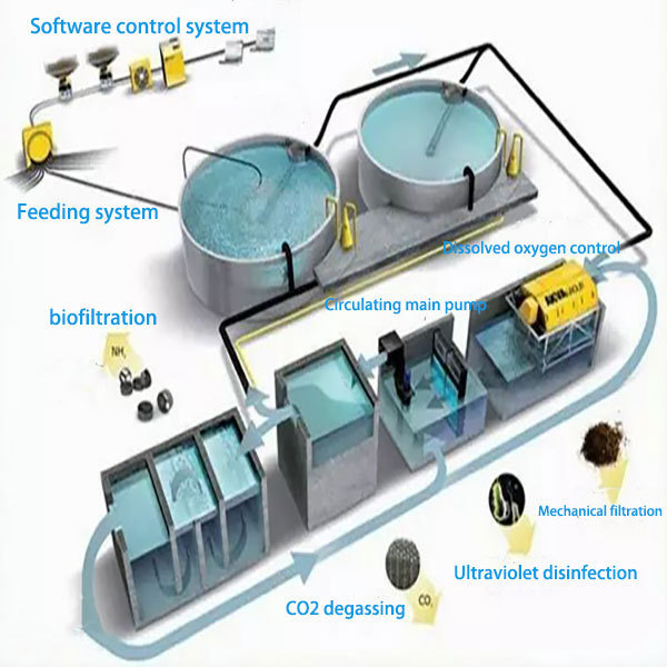 RAS indoor high density fish and shrimp farming tanks other aquaculture equipment galvanized corrugated ponds