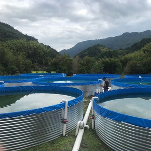 Fish Farming Equipment Tarpaulin Fish Pond  Economic Hot Galvanized Sheet Koi Tilapia Breeding Tank