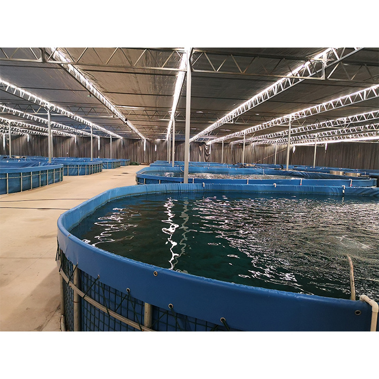 China custom aquaculture tank indoor tarpaulin shrimp farming system equipment