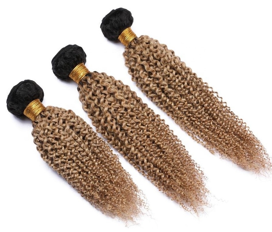 Wholesale Afro kinky curly hair extension 18 inch human peruvian indian hair weave 1b 27 honey blonde ombre bundles with frontal