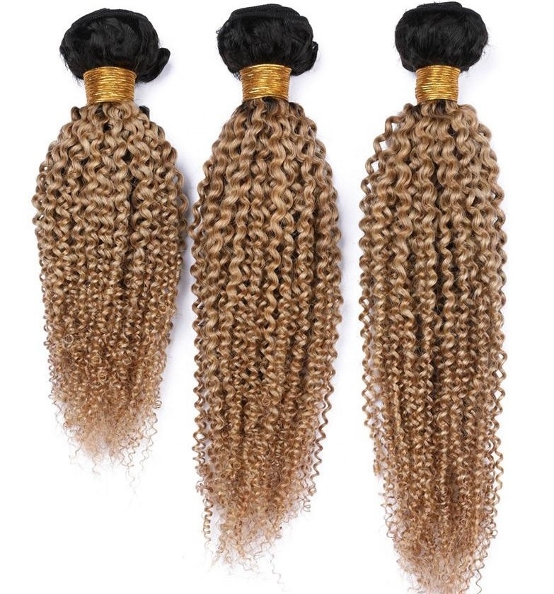 Wholesale Afro kinky curly hair extension 18 inch human peruvian indian hair weave 1b 27 honey blonde ombre bundles with frontal