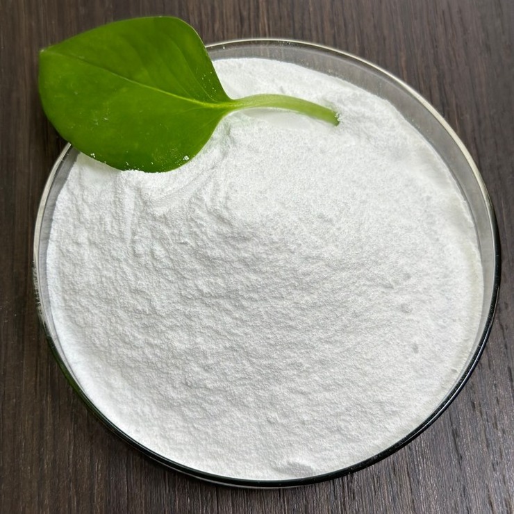 Inorganic Chemicals Na2CO3 Price Sodium Carbonate Heavy Soda Ash Dense   99.2% Min