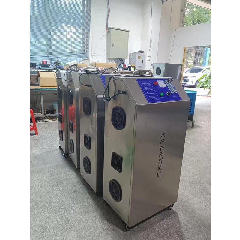 new 2024 portable 10 lpm home use psa oxygen concentrator for ozone manufacturer in china