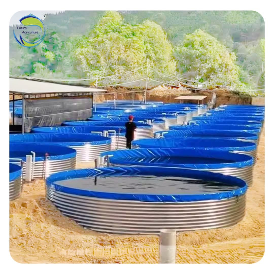 Factory Direct Fish Farming Tank High Capacity Above Ground Fish Farming Low Cost Outdoor Fish Pond