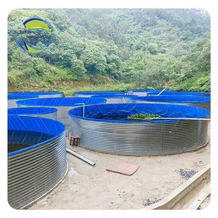 High Quality Fish Pool Farming Widely Used  Tilapia Fish Tank Outdoor Fish Farming Ponds