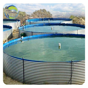 High Quality Fish Pool Farming Widely Used  Tilapia Fish Tank Outdoor Fish Farming Ponds