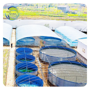 Tilapia Aquaculture Pisciculture Koi Tarpaulin Commercial Farm Fish Tank Plastic  Pond For Fish Farming