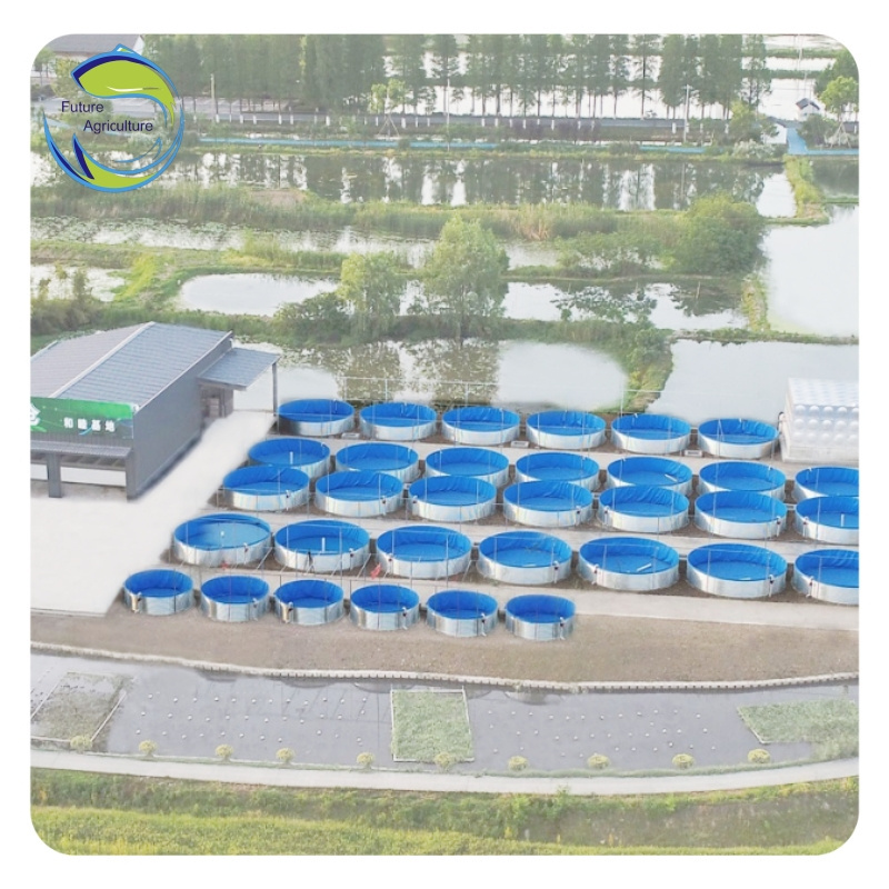 Tilapia Aquaculture Pisciculture Koi Tarpaulin Commercial Farm Fish Tank Plastic  Pond For Fish Farming