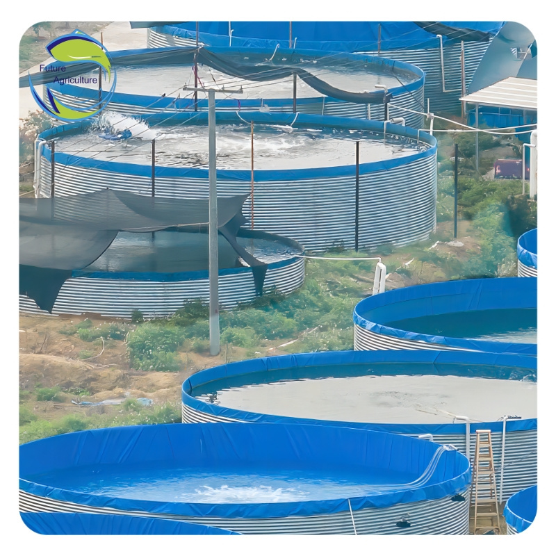 Factory Direct Fish Farming Tank High Capacity Above Ground Fish Farming Low Cost Outdoor Fish Pond