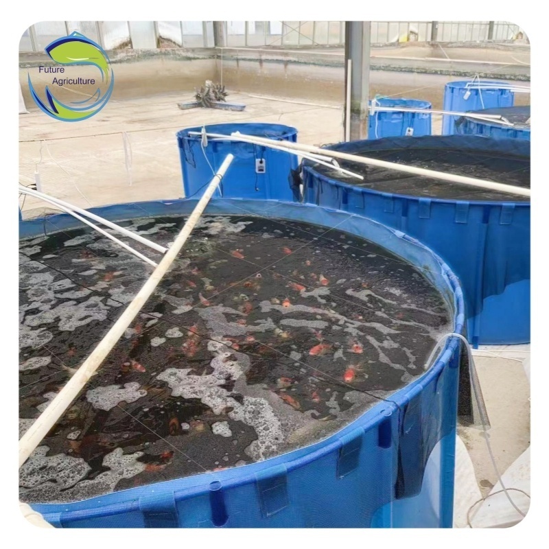 Portable Fish Pond Big Size Koi Pond Tanks Plastic Fish Tank Low Investment Pvc Fish Farming