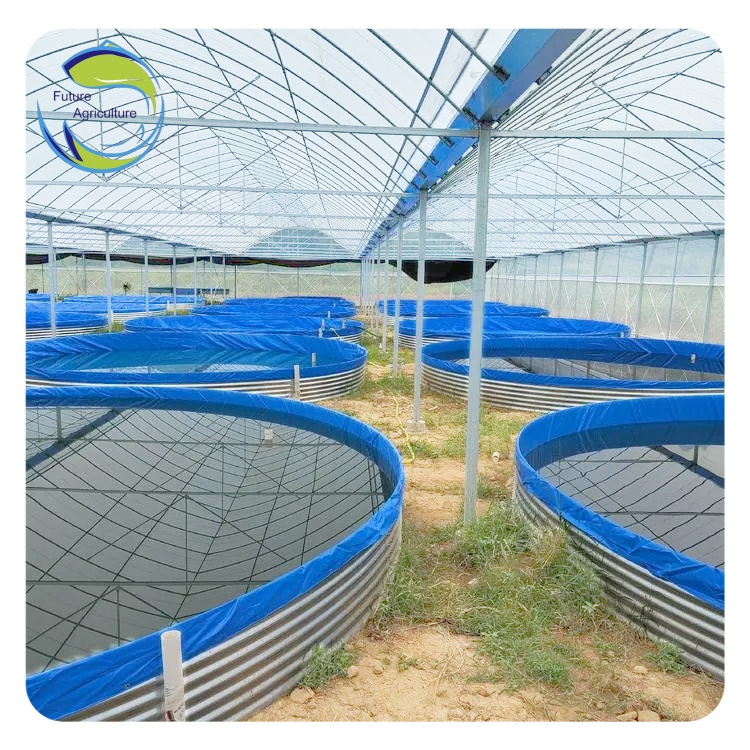 FTA Design Above Ground Fish Incubator Farming Aquaculture Equipment In Guangzhou Systems