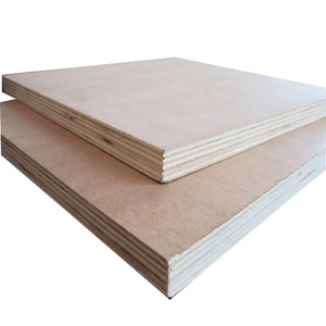 Wholesale poplar plywood sheets colored plywood birch plywood