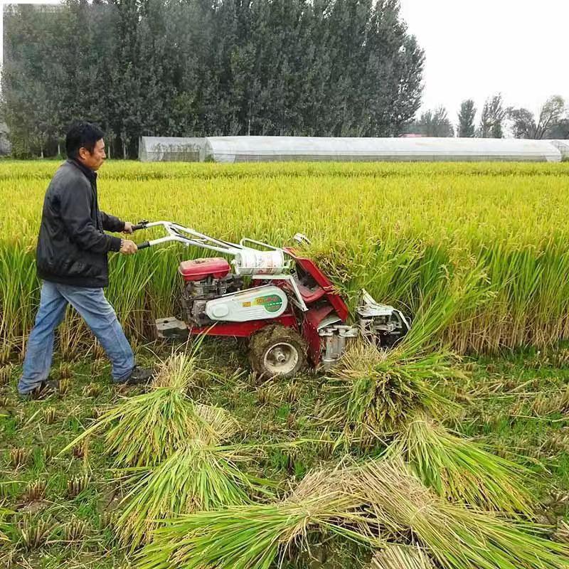 High Quality Cheap Price Grain Reaper Binder/Wheat Reaper/Mini Rice Paddy Cutting Machine