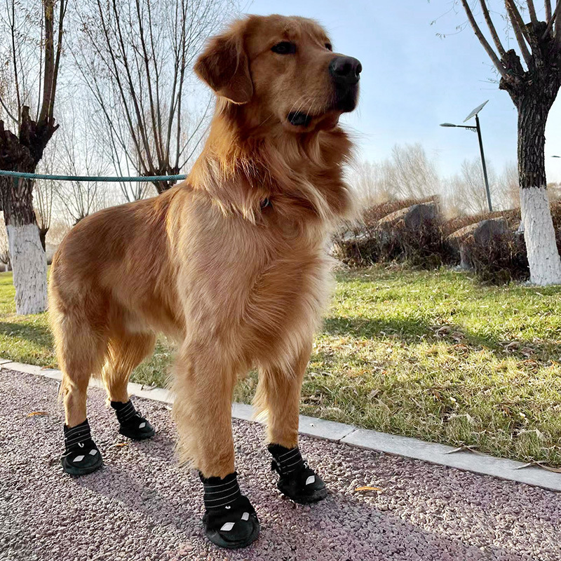 New arrivals Breathable waterproof puppy shoes outdoor dog sneaker Anti slip Durable Pet dogs shoes for Small to medium-sized