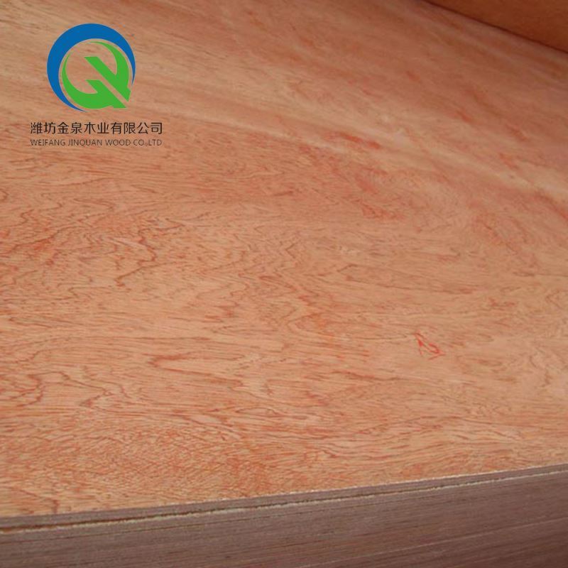 Waterproof shuttering construction container flooring ply wood marine