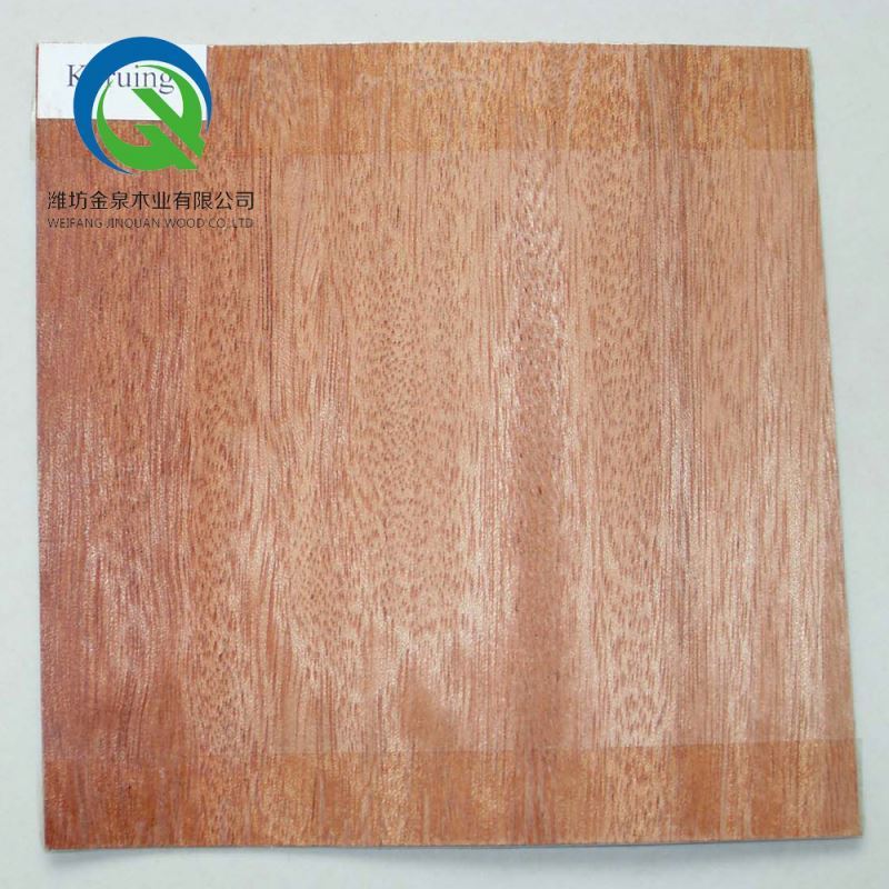 Waterproof shuttering construction container flooring ply wood marine