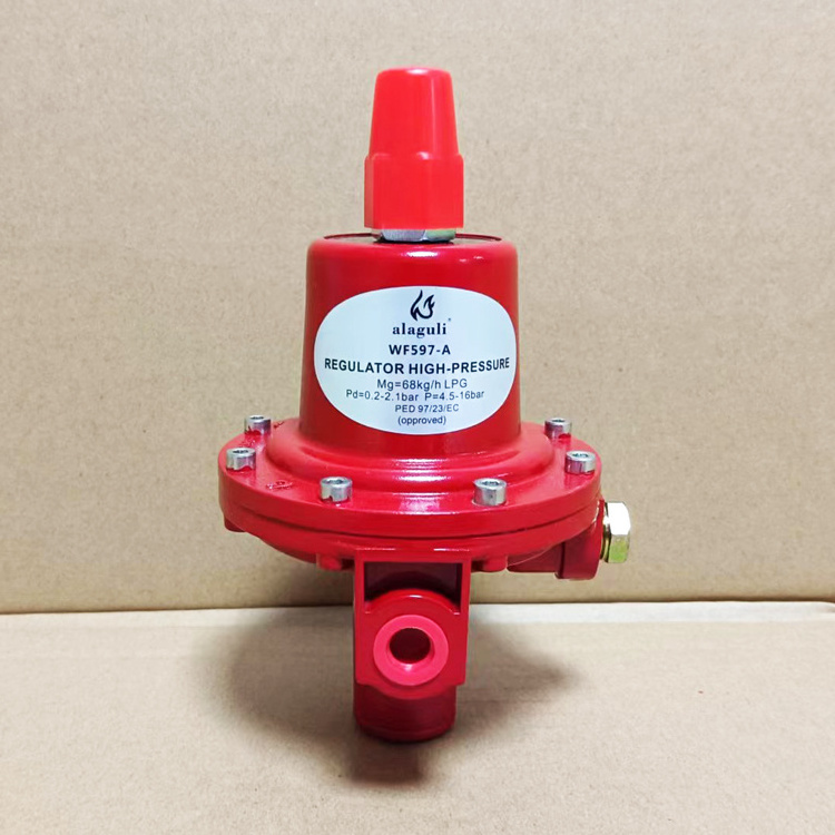 First stage high medium fuel gas pressure reducing DN8 1/4 inch NPT Standard regulator and valve similar as fisher and honeywell