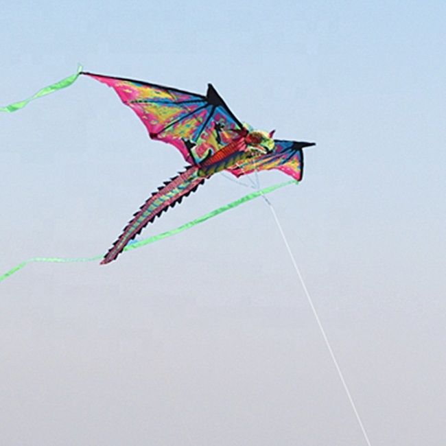 most popular design kite 3D pterosaur dinosaur  dragon kite with kite sticks  from direct factory