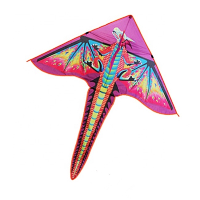 most popular design kite 3D pterosaur dinosaur  dragon kite with kite sticks  from direct factory