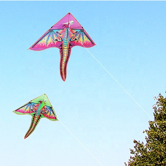 most popular design kite 3D pterosaur dinosaur  dragon kite with kite sticks  from direct factory