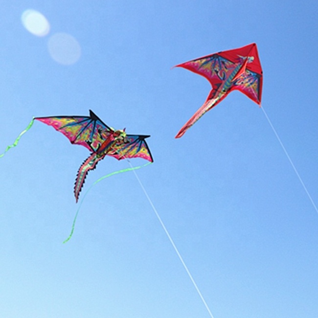 most popular design kite 3D pterosaur dinosaur  dragon kite with kite sticks  from direct factory