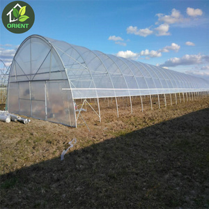 High Tunnel Greenhouse  Used For Sale