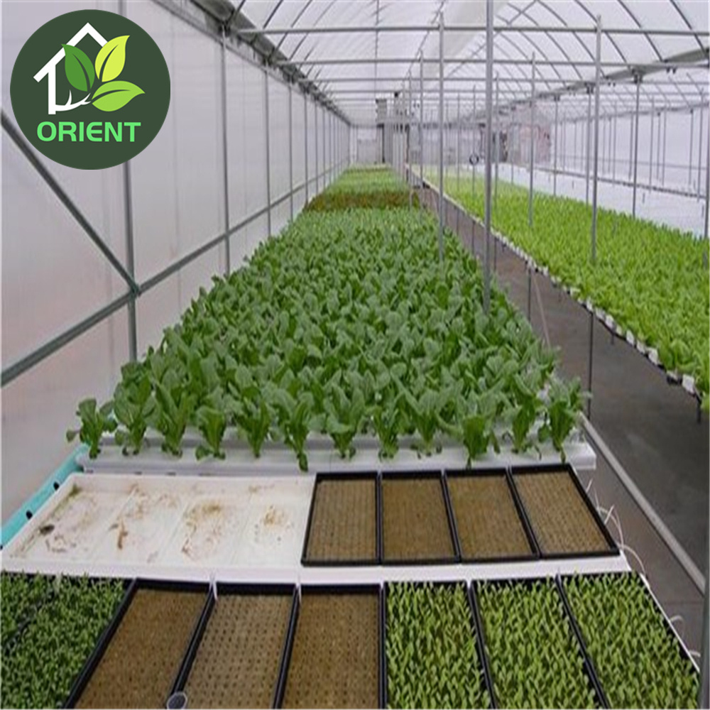 Hidroponica Greenhouse Growing Systems