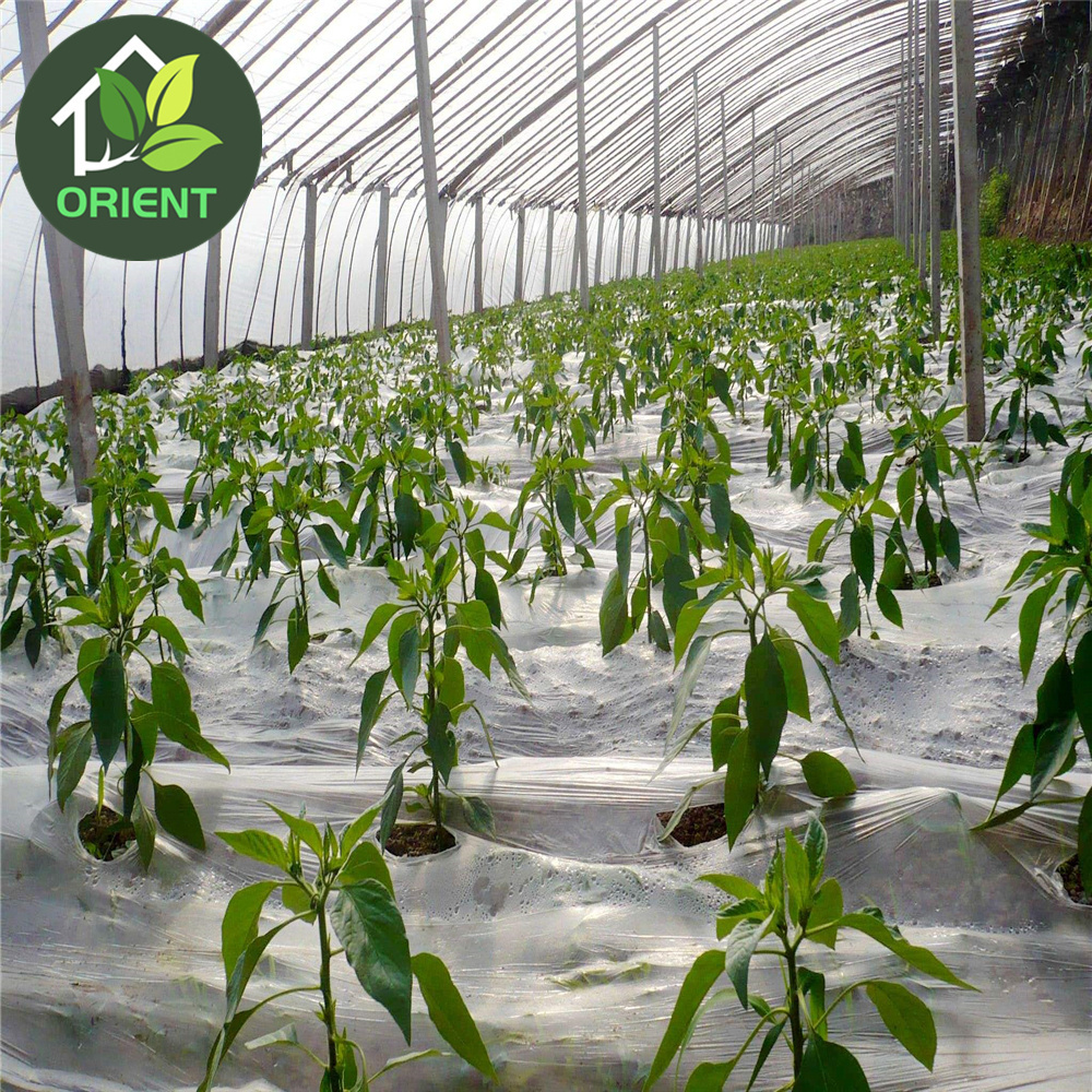 Hidroponica Greenhouse Growing Systems