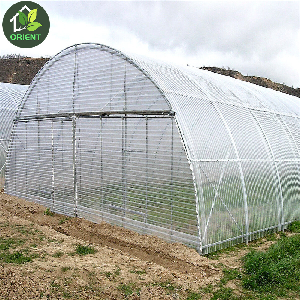 High Tunnel Greenhouse  Used For Sale