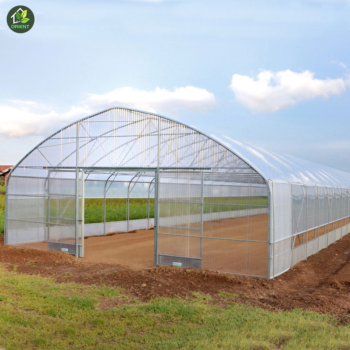 Mini Greenhouse Poland Plant Factory Hydroponic Growing Aeroponics Systems 20ft 40ft Container Farm