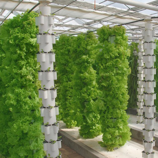 Hot sale indoor hydroponic tower grow greenhouse