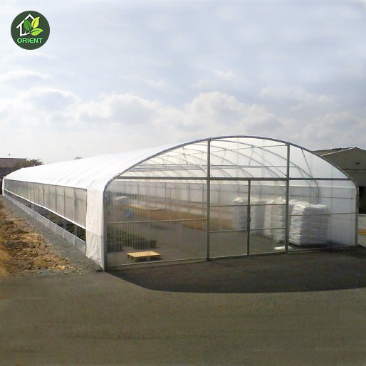 Mini Greenhouse Poland Plant Factory Hydroponic Growing Aeroponics Systems 20ft 40ft Container Farm