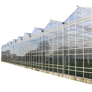 Greenhouse Manufacturer With Prefabricated Commercial Hydroponic System