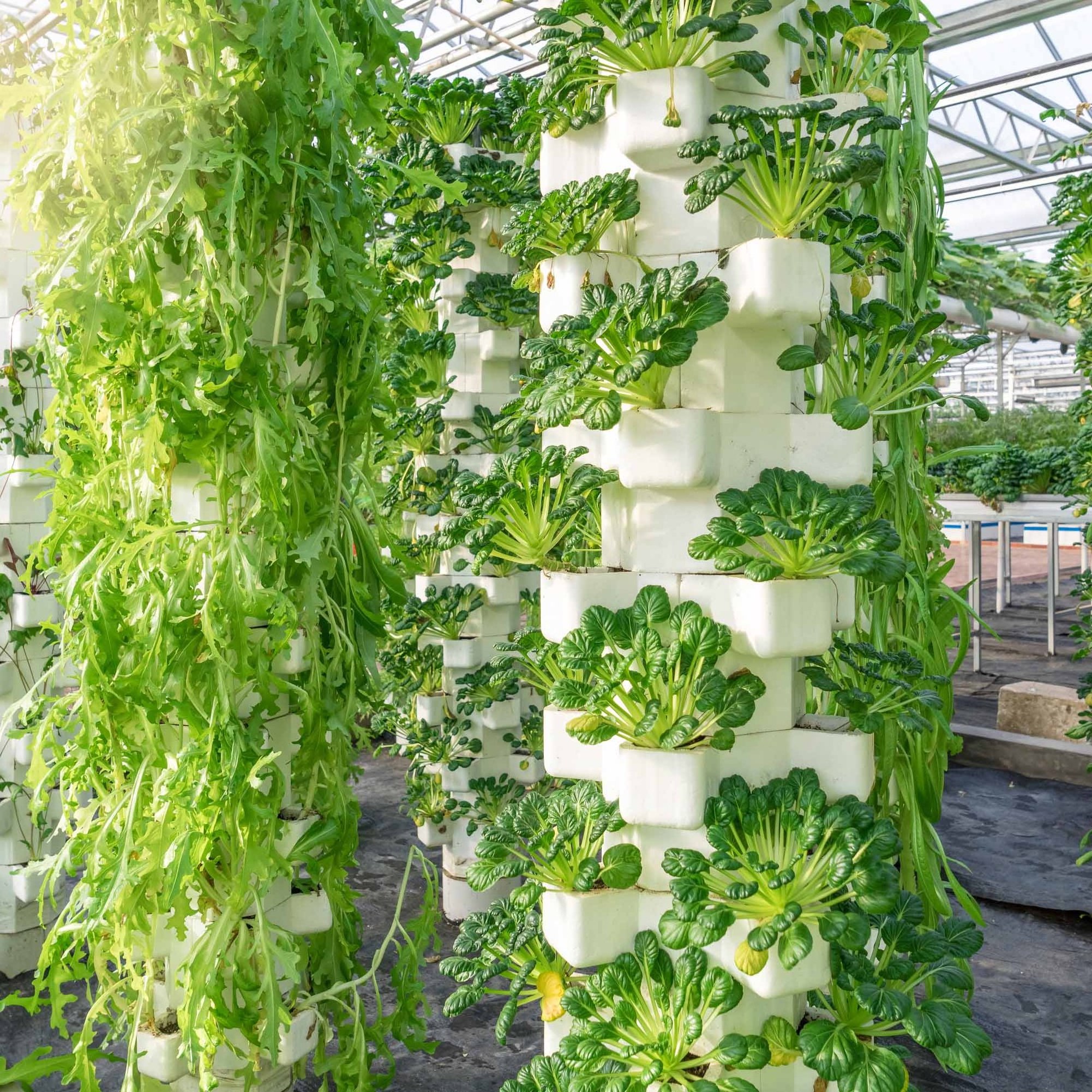 Hot sale indoor hydroponic tower grow greenhouse