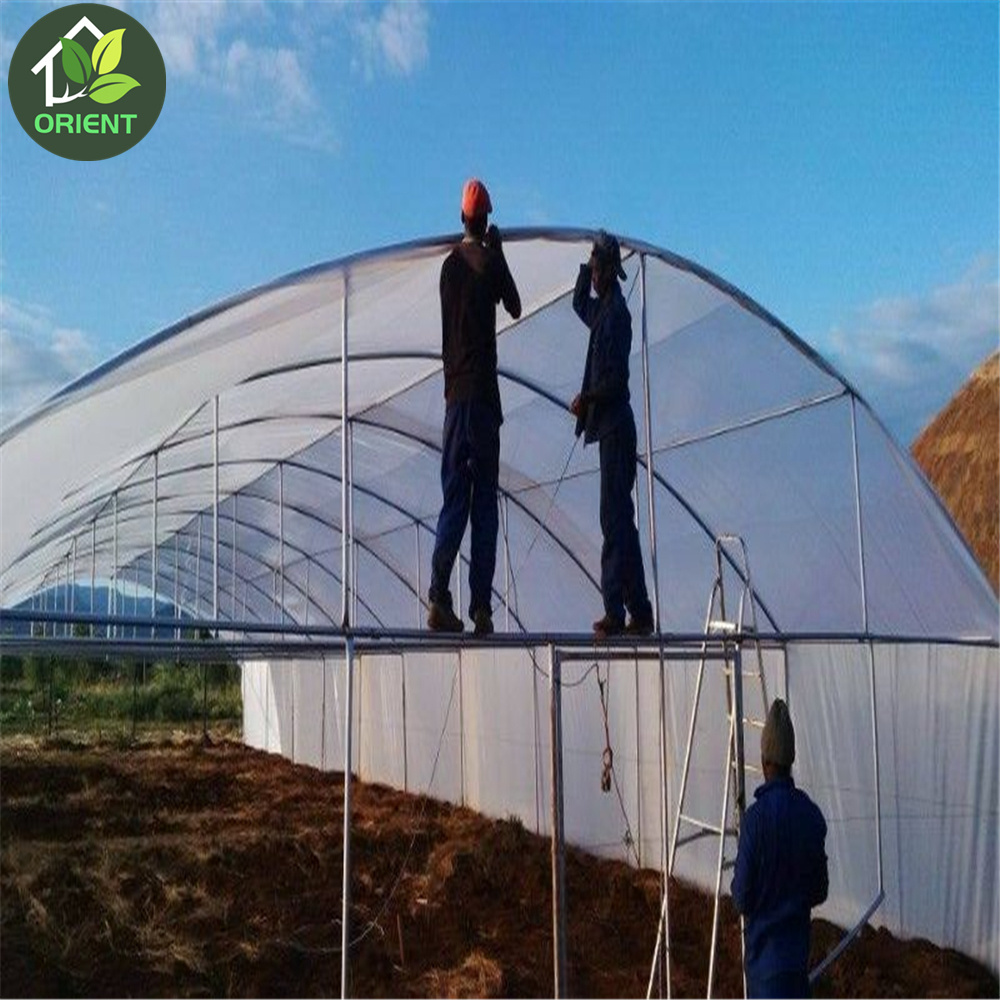 High Tunnel Greenhouse  Used For Sale