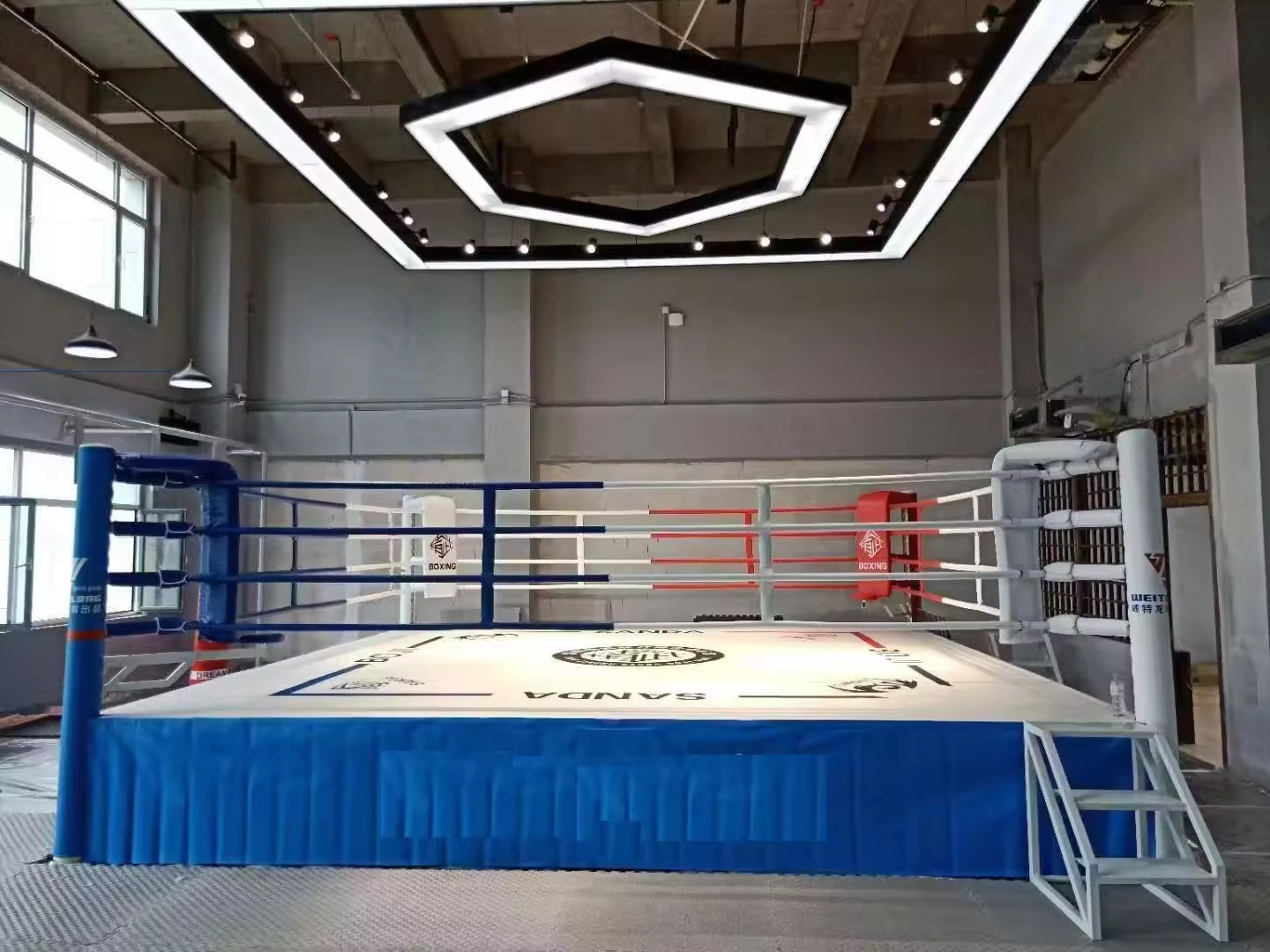 2024 Professional Customized Size Logo Table Flooring Boxing Ring Price PVC Canvas Taekwondo Karate Wrestling Judo Boxing Ring