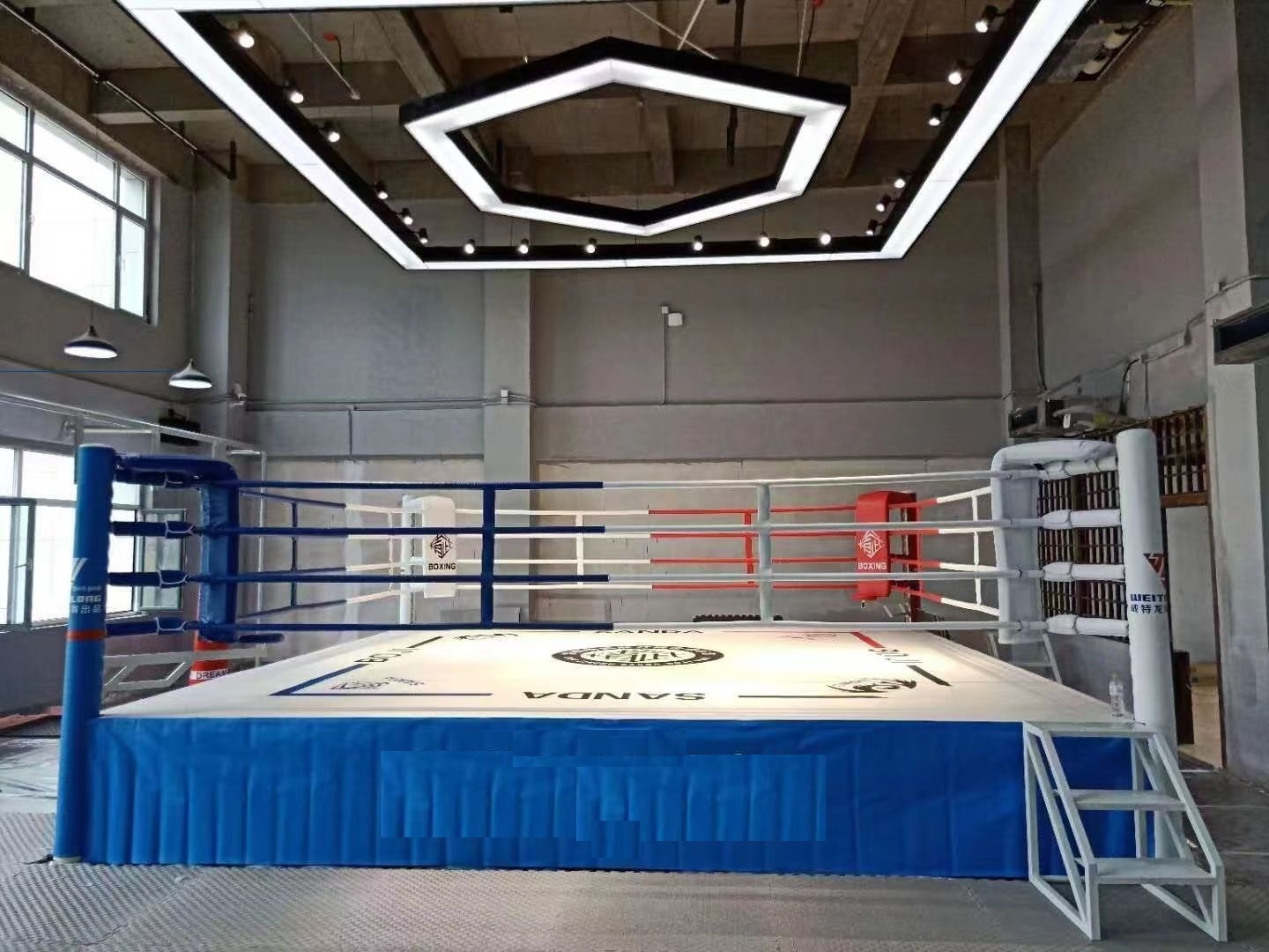 New Professional Customized Size Logo Table Flooring Boxing Ring Price PVC Canvas Taekwondo Karate Wrestling Judo Boxing Ring