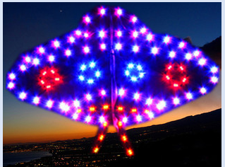 led light kite   Customized luminous kite led kite manufacturers